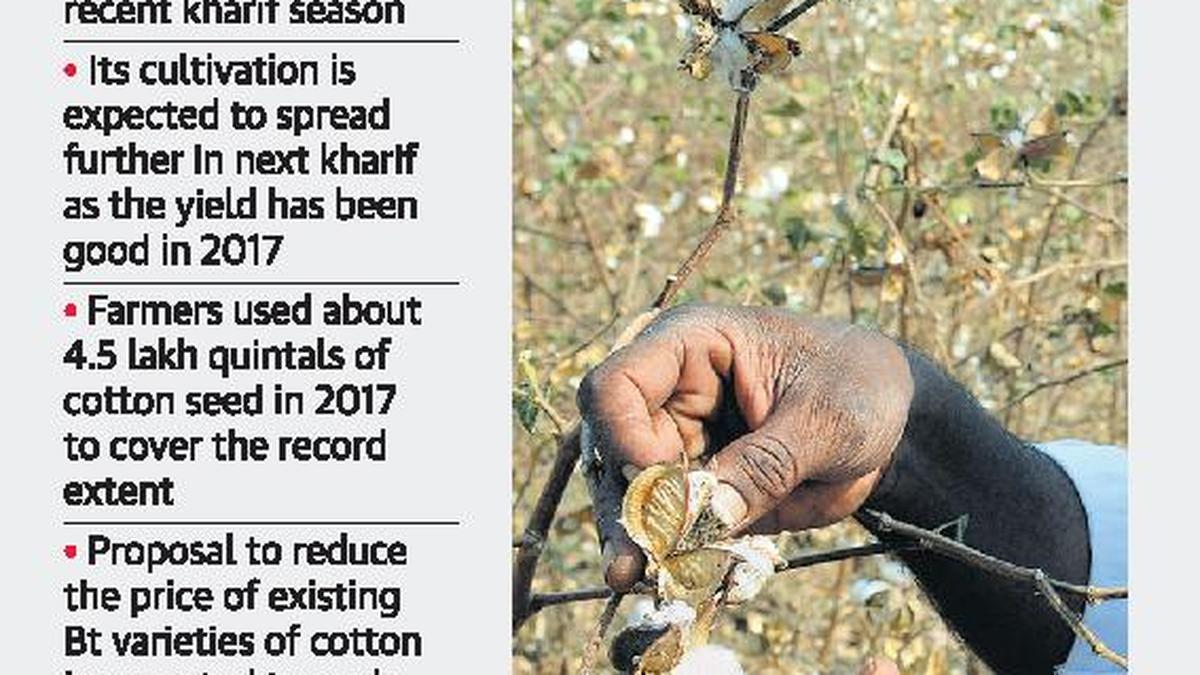 Criminal cases against illegal cotton seed sellers The Hindu